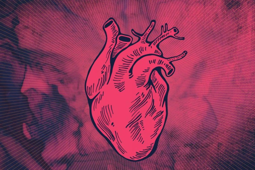 The findings improve doctors’ understanding of abnormal, often deadly thickening of the heart and could help them predict patients’ risk of sudden cardiac death and heart failure. 