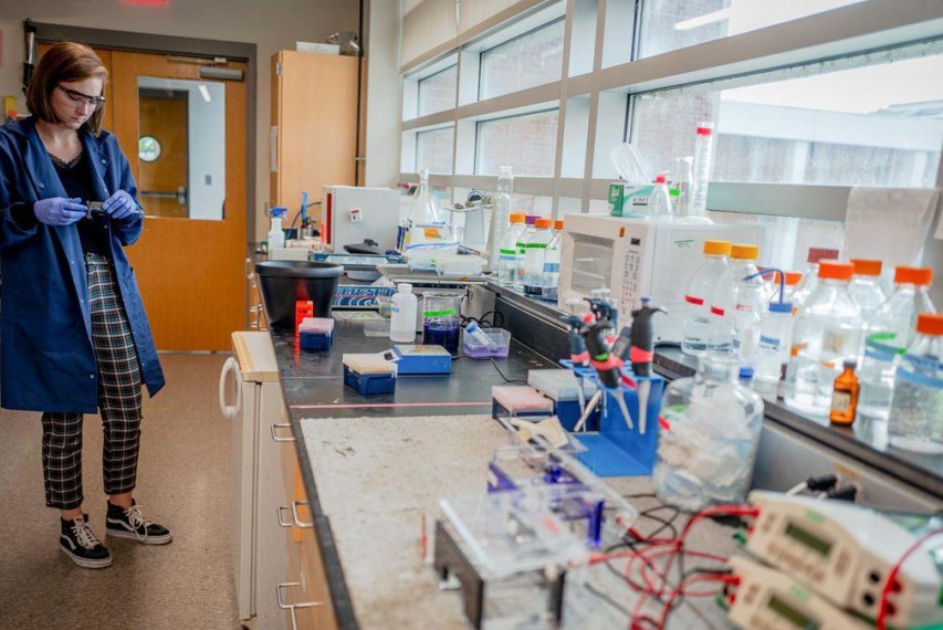 Chemical engineering professor Bryan Berger and his lab are researching environmentally friendly methods to remove toxic chemicals from water and soil.  